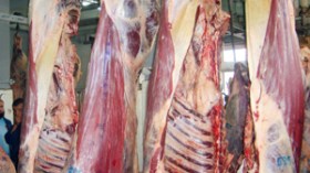 الحكومة ترخص باستيراد اللحوم السودانية والأسعار لن تتجاوز 500 دينار