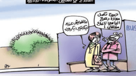 الحكومة الجديدة