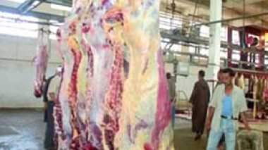 El Bayadh : des agents de contrôle de qualité tabassés par des bouchers