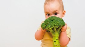 النظام الغذائي الذي يفتقر إلى الخضار والفواكه يؤدي إلى ضعف العظام