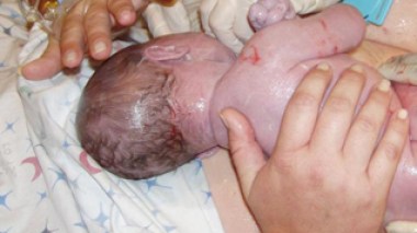 Abortion criminals caught in Algeria