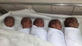 امرأة تنجب 5 توائم في المسيلة