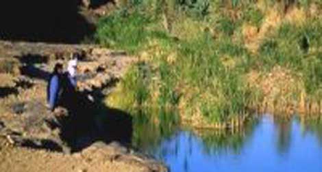 Rencontre les 4 et 5 novembre à Béchar sur le Sahara algérien