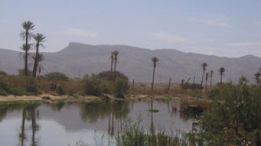 Le gouvernement a décidé d'appliquer pour Bechar toutes les mesures prises à Ghardaïa