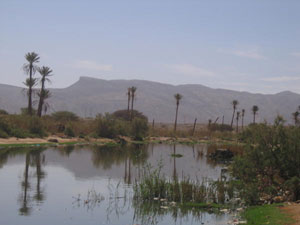 Le gouvernement a décidé d'appliquer pour Bechar toutes les mesures prises à Ghardaïa