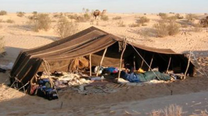 وزيرة التضامن تتوّعد المسؤولين المقصرين في حق البدو الرحل