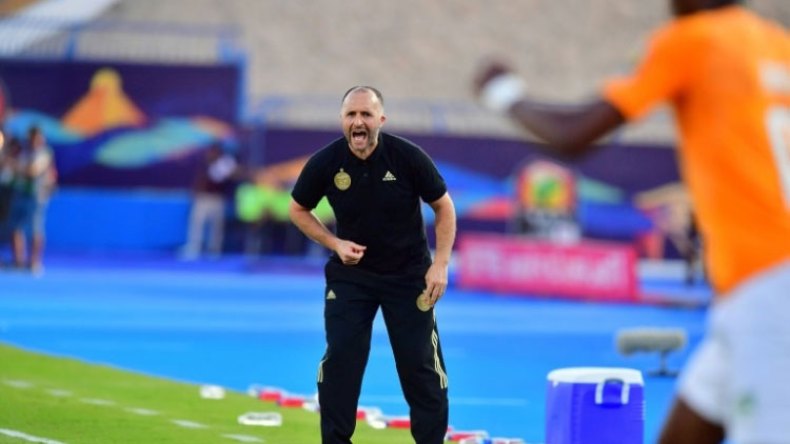 هذه أكبر مكاسب ورهانات كتيبة بلماضي في زمن كورونا