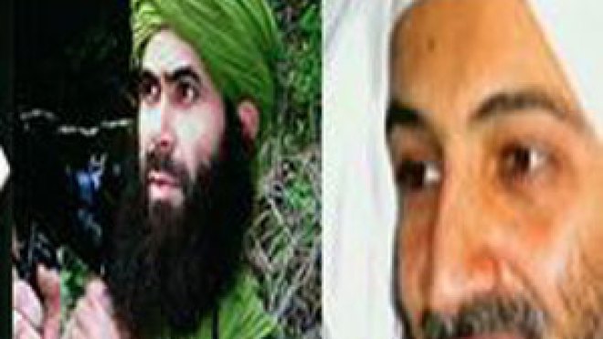 “درودكال” يتوسّل لأسامة بن لادن لإنقاذ “الجماعة السلفية”من الانقراض!