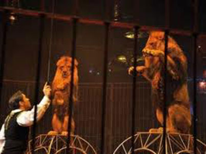 Cirque Amar : 2000 billets offerts à des orphelins détournés