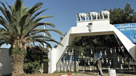 هكذا سيتم تطوير وتأهيل مرافق وفضاءات حديقة بن عكنون لاستقطاب العائلات