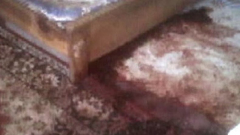 أفلام كرتونية تصور عملية قتل بن لادن بعد رفض واشنطن الإفراج عن الصور