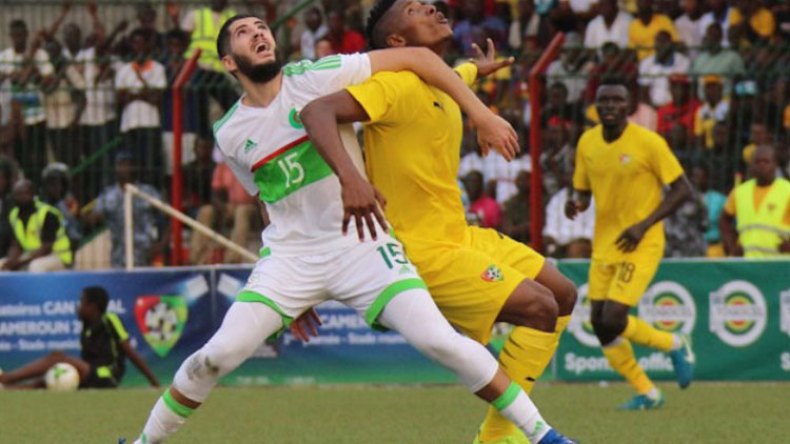 زطشي وبلماضي يتعاطفان مع بن زية