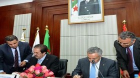 نحو تعاون رياضي واسع بين الجزائر واسبانيا