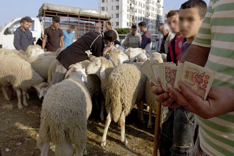 De faux billets en circulation sur les marchés aux bestiaux