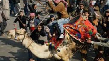 Égypte : 25 personnes jugées pour avoir chargé des manifestants à dos de chameau