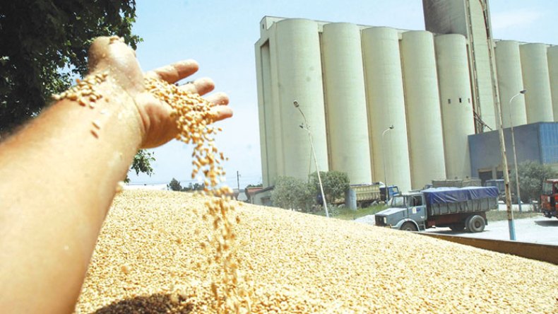 بالأرقام.. هذه فضيحة مجمّع الرياض!