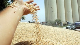 يجب تقليص فاتورة الواردات الزراعية