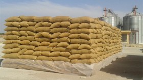 تراجع بنحو 600 مليون دولار في واردات الحبوب