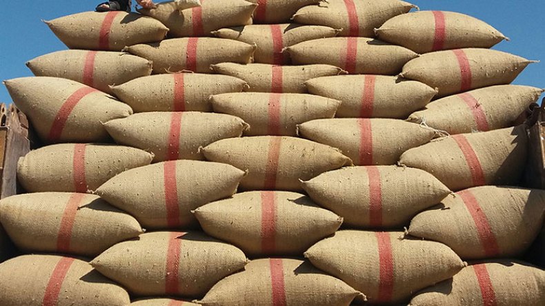 الدرك يحجز قرابة 4 آلاف قنطار من القمح اللين في المسيلة