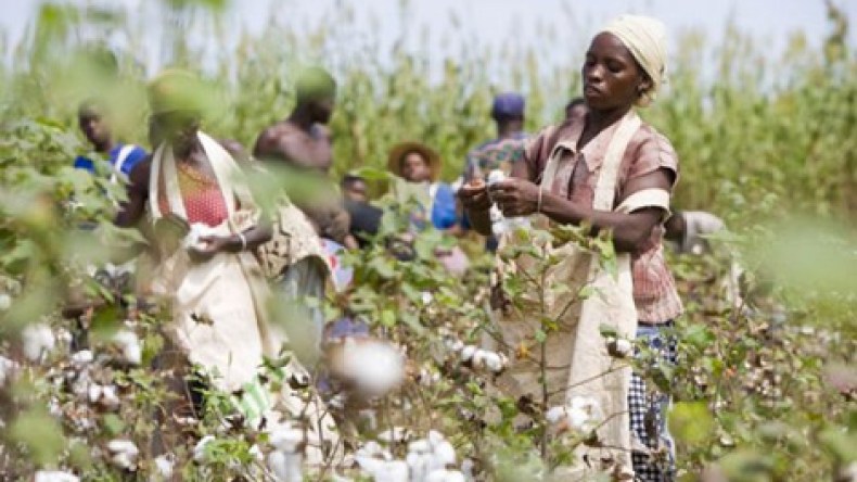 24 بالمئة من شعب البينين مسلمون..وكرة القدم الرياضة الأكثر شعبية