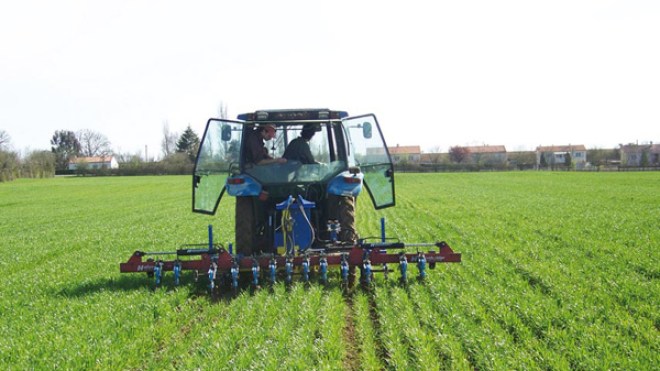 أزمة اليد العاملة تتسبب في ضياع 40% من المحصول الفلاحي