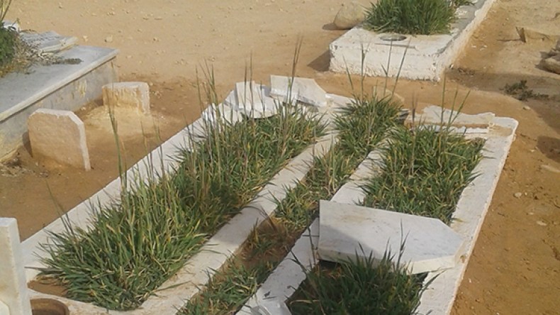 مجهولون يخربون شواهد قبور ببسكرة