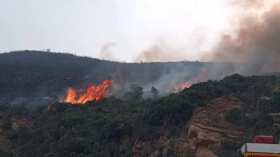 المدير العام للغابات: الحرائق الأخيرة متعمدة وتحمل نية إجرامية