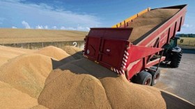 ارتفاع في واردات الجزائر من الحبوب بـ 12 بالمائة