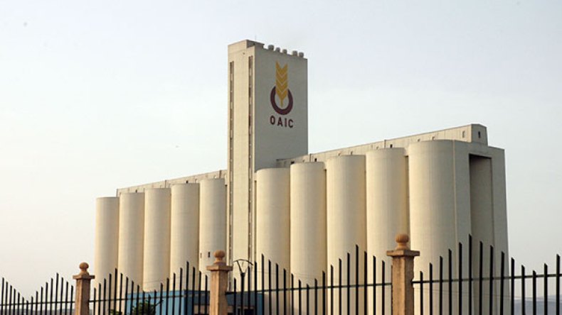 تفكيك شبكة وطنية تمارس الإحتيال على دواوين الحبوب