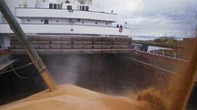 الجزائر تعلق استيراد القمح الصلب من الخارج بفضل إنتاجها الوافر منذ 2008