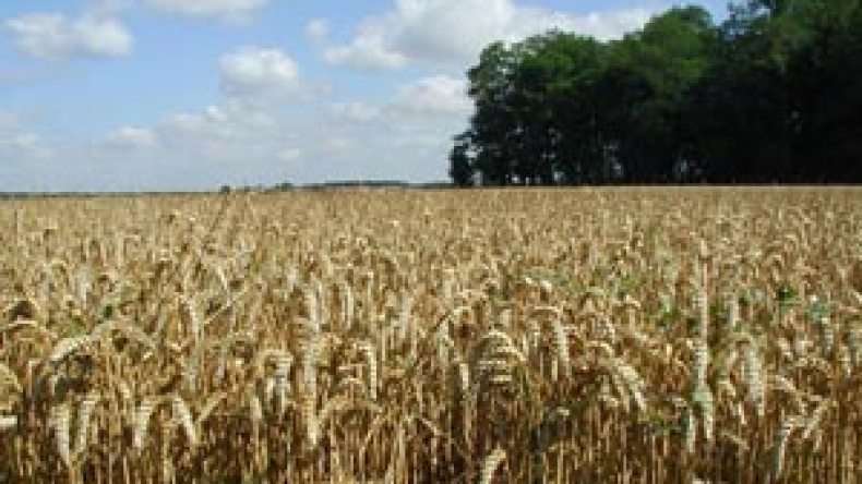 العدالة تستمع لـ 113 شخص بينهم 23 اطار في قضية “سيم”