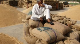 أطنان من القمح والفرينة الفاسدة تفلت من المراقبة وتقتحم أسواق وهران