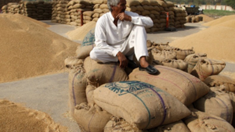 أطنان من القمح والفرينة الفاسدة تفلت من المراقبة وتقتحم أسواق وهران