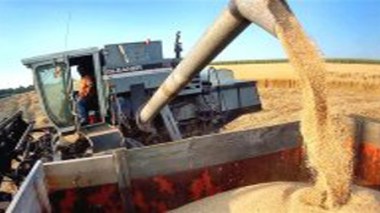 L’Algérie n’importera pas de blé dur et d’orge en 2012
