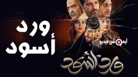 “ورد أسود” يروّج للوجهة الجزائرية وينقل لهجتها إلى الشارع العربي