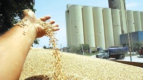 رئيس برلمان متورط في فضيحة القمح!