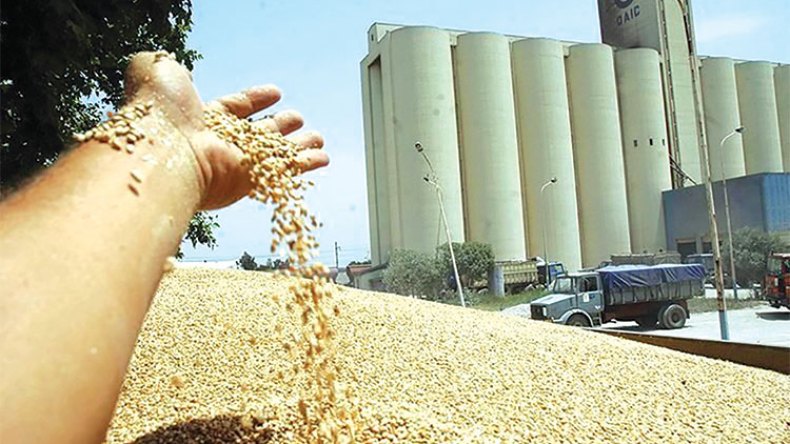 رئيس برلمان متورط في فضيحة القمح!