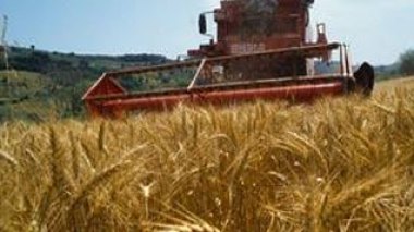 Algerian seeds and animal breeds make the US and Australian day