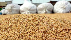 فاتورة غذاء الجزائريين تتجاوز 10 ملايير دولار نهاية 2013