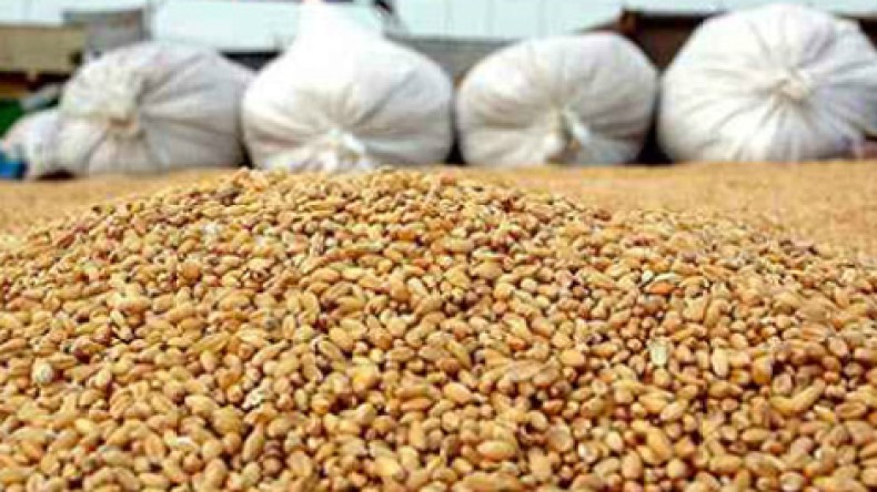 فاتورة غذاء الجزائريين تتجاوز 10 ملايير دولار نهاية 2013