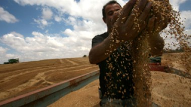 Farmersâ€™ debts written off by June: official says