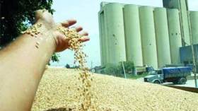 أسعار‭ ‬الحبوب‭ ‬تقفز‭ ‬بأزيد‭ ‬من‭ ‬20‭ ‬بالمائة‭ ‬في‭ ‬5‭ ‬أسابيع