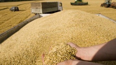 “Agrourt “ grains  land  transport company on verge of collapse