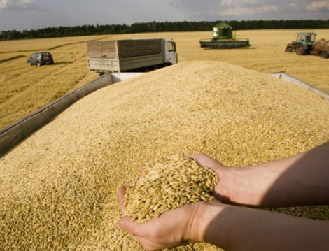 “Agrourt “ grains  land  transport company on verge of collapse