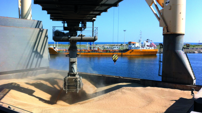 مسؤول بوزارة الفلاحة: التحاليل أثبتت أن القمح المستورد لم يكن مسموما