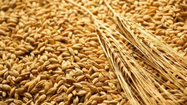 La facture alimentaire s’élèvera à 10 milliards de dollars fin 2013