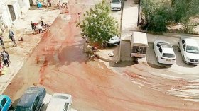 سيول من الدماء والقاذورات ولا وجود للبياطرة في الأحياء