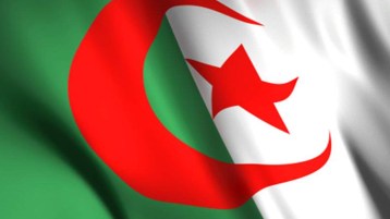 هكذا ينبغي أن تُعامَل أدمغتنا المفكِّرة…