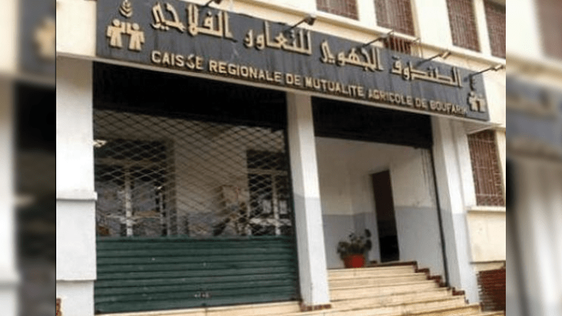 اتفاقية بين صندوق التعاون الفلاحي والمجلس المهني للدواجن