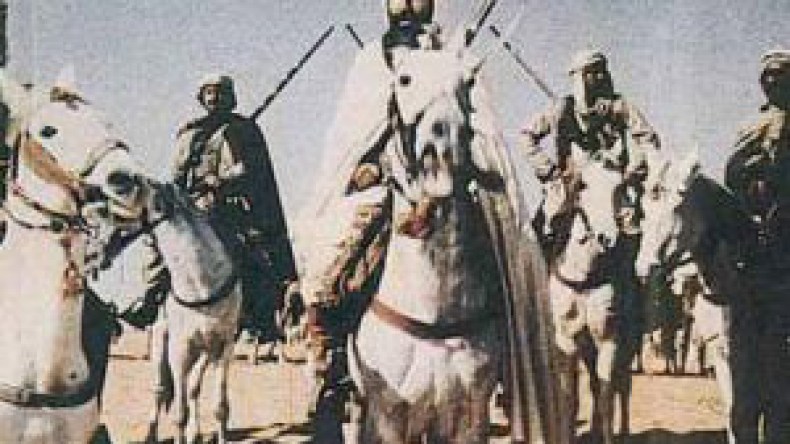 حفيدة‭ ‬الشيخ‭ ‬بوعمامة‭ ‬تصرخ‮:‬ ‮”‬الرئيس‭ ‬قابلني‭ ‬ووالي‭ ‬وهران‭ ‬رفض‮”‬‭!‬